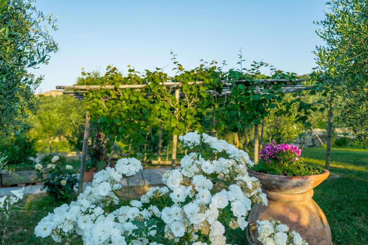Agriturismo I Colli Montaione Bagian luar foto
