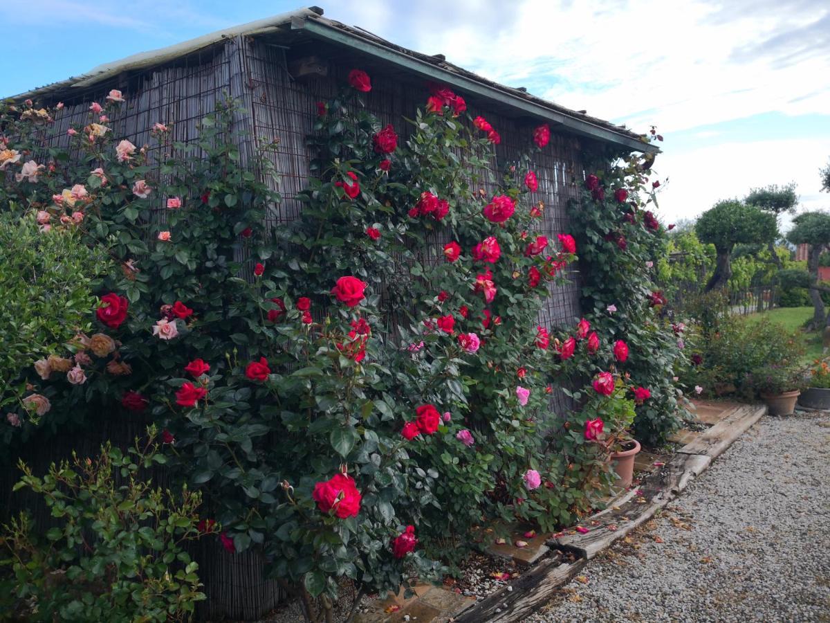 Agriturismo I Colli Montaione Bagian luar foto