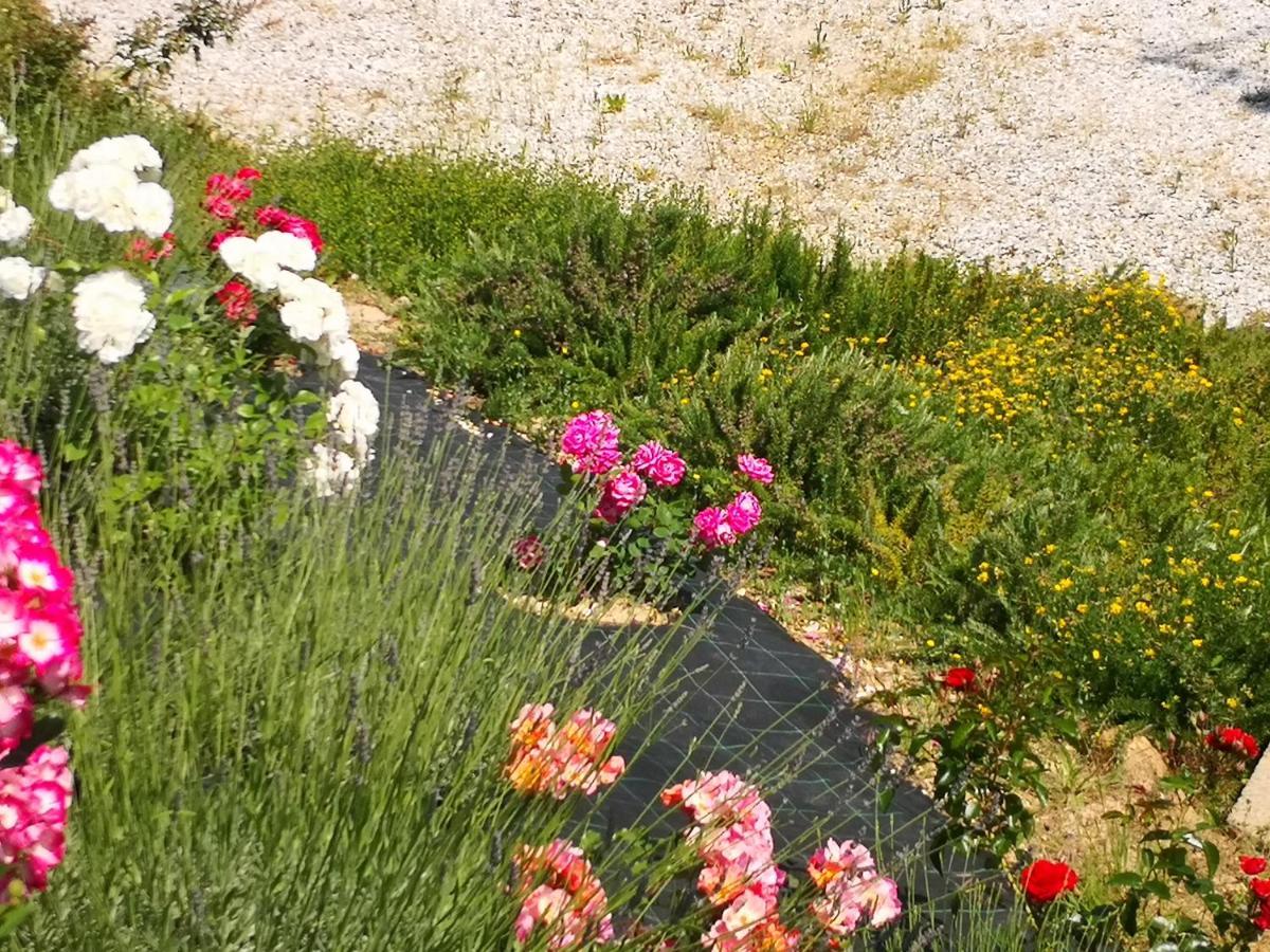 Agriturismo I Colli Montaione Bagian luar foto
