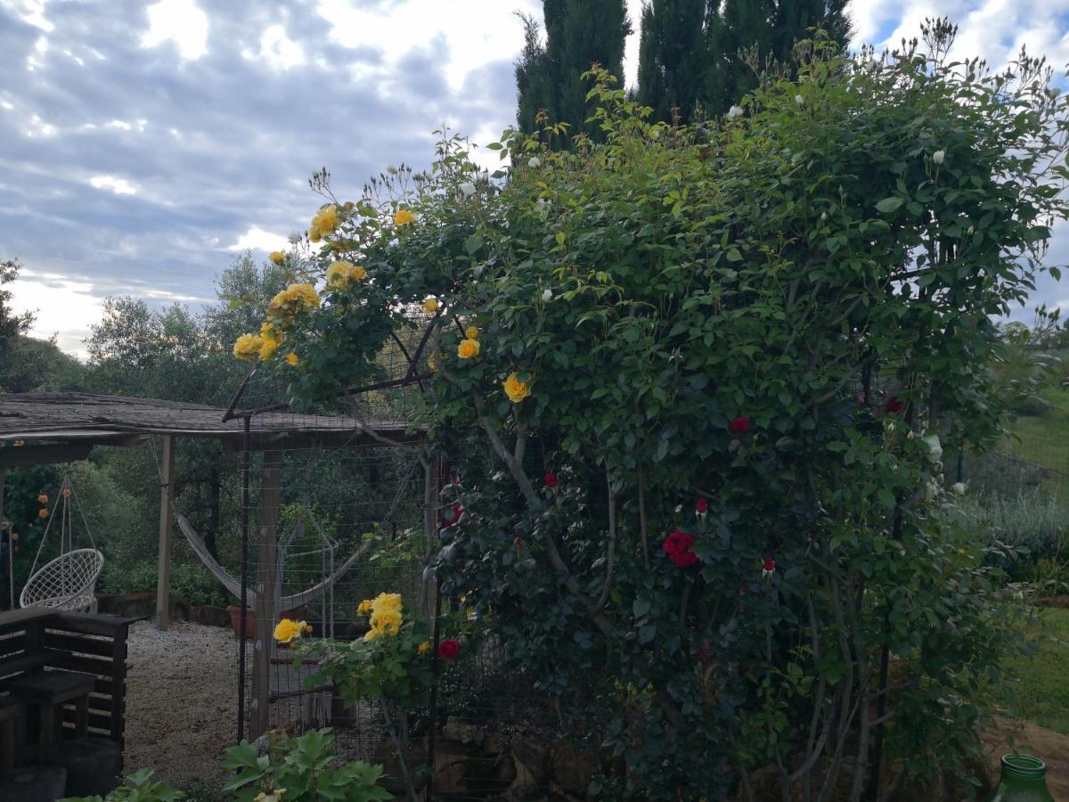 Agriturismo I Colli Montaione Bagian luar foto