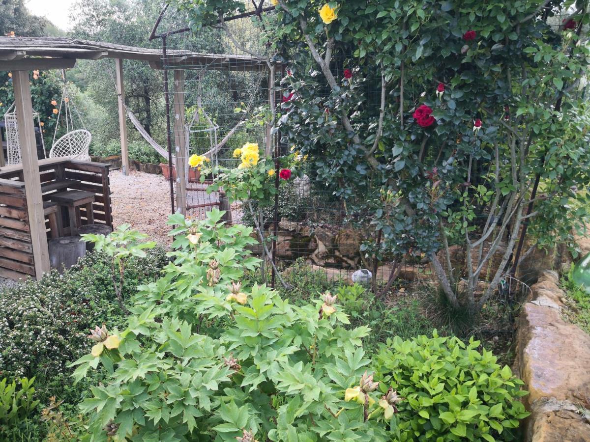 Agriturismo I Colli Montaione Bagian luar foto